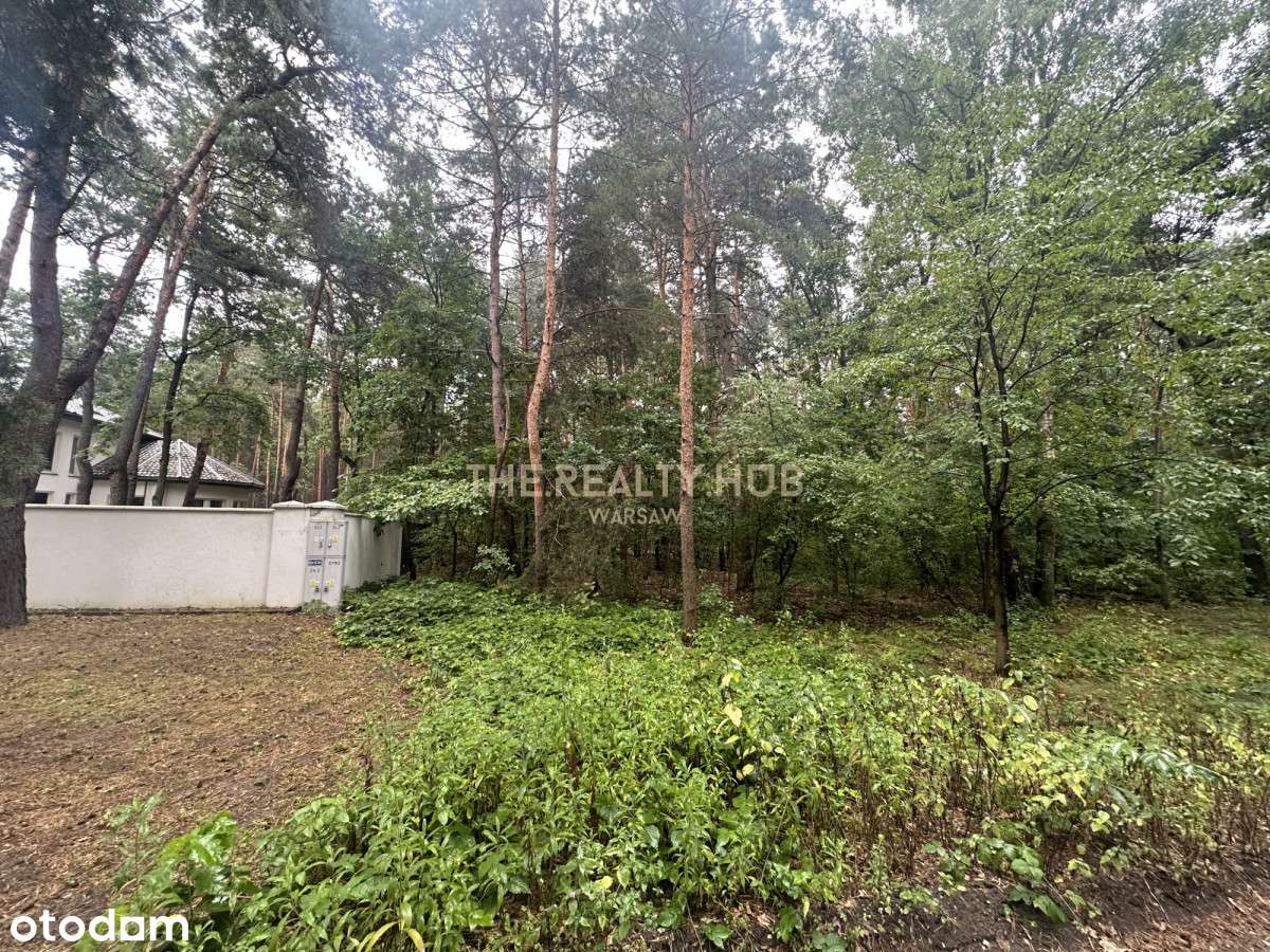 Atrakcyjna cena sezonowa | Duża działka 2100 m2-3