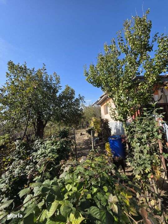 Casa Buhoci - Imagine principală: 2/17