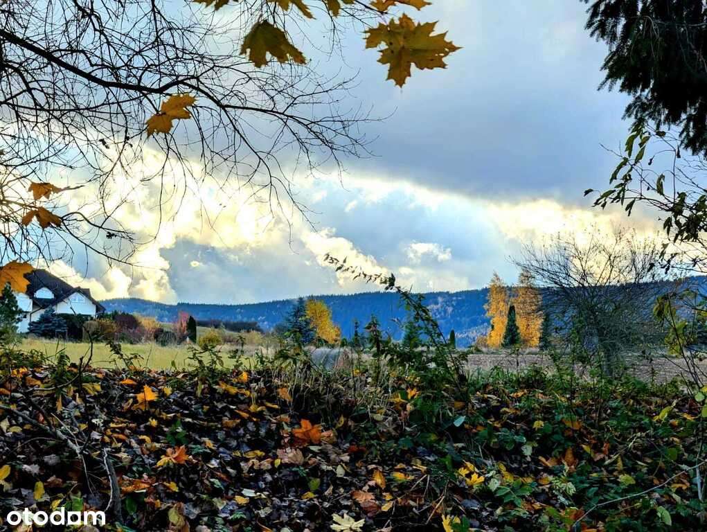 Działka w super lokalizacji - Stary Wielisław-1