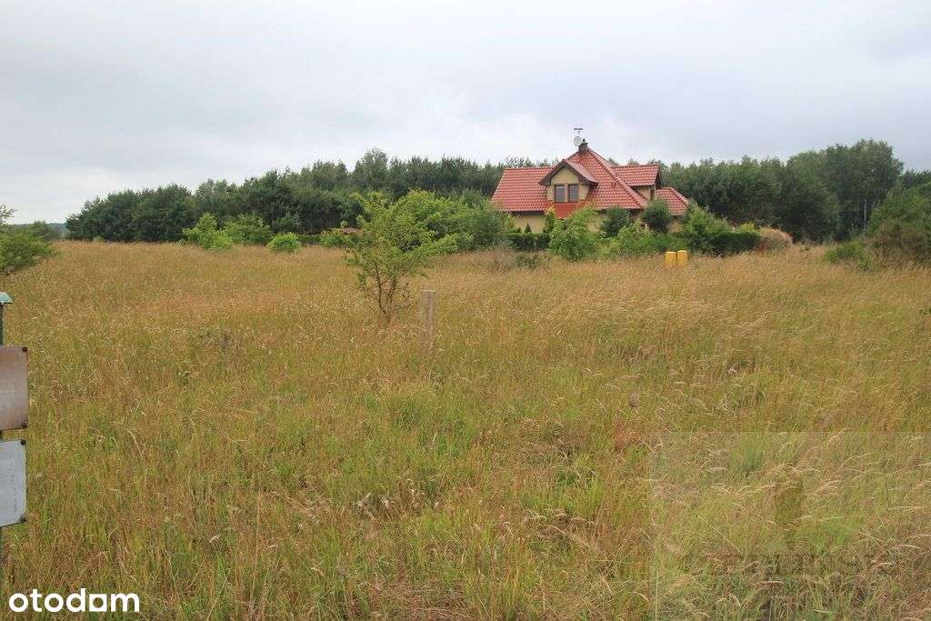 Uzbrojona Działka 10 Km Do Kołobrzegu. - Pełny obrazek: 4/7