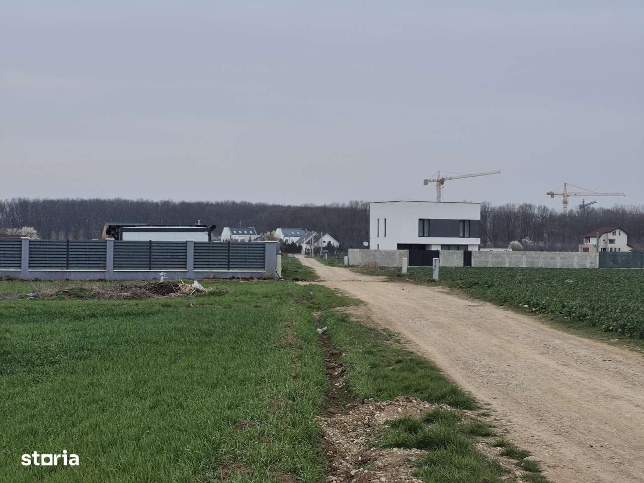 Teren Balotesti,padure Sri,400mp-4