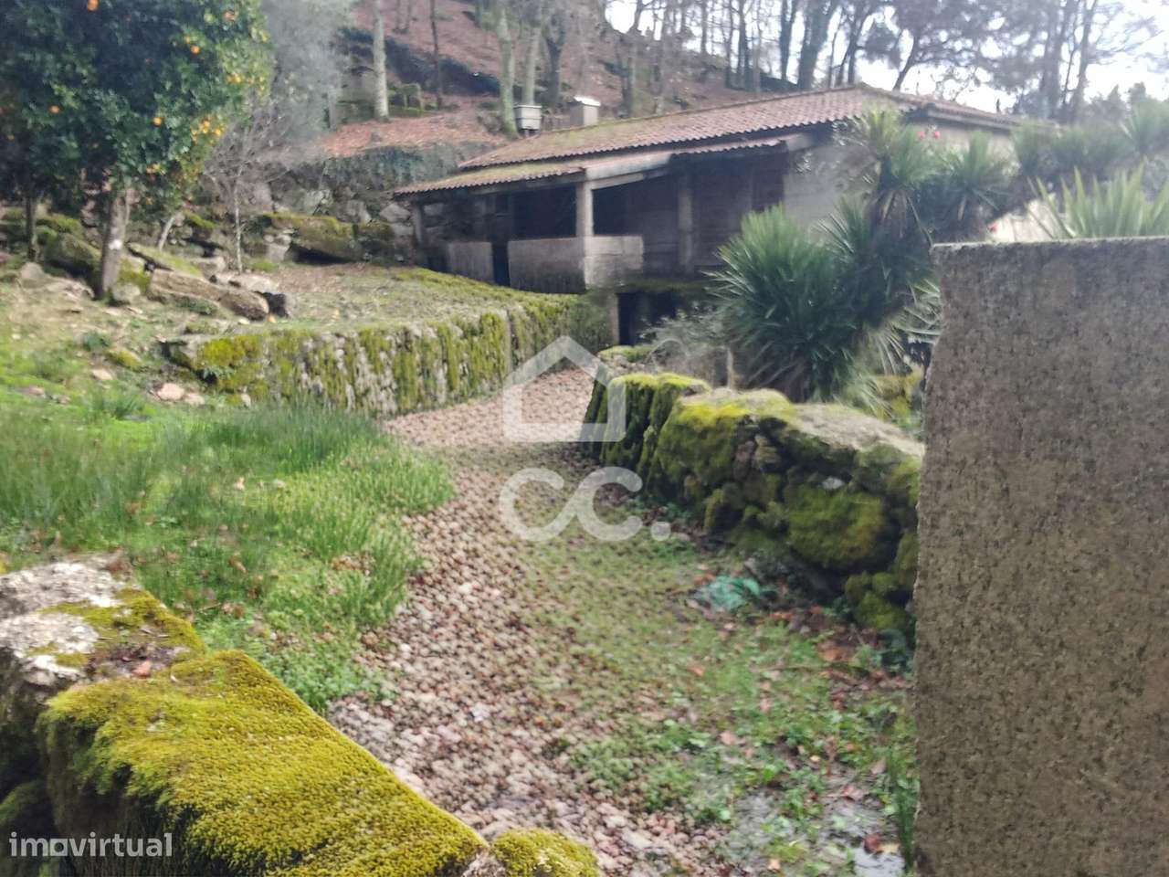 Quinta à venda em Rossas, Vieira do Minho - Grande imagem: 4/47