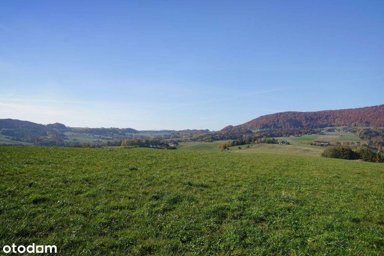 Działki budowlane widokowe na wzniesieniu 3x - Pełny obrazek: 5/11