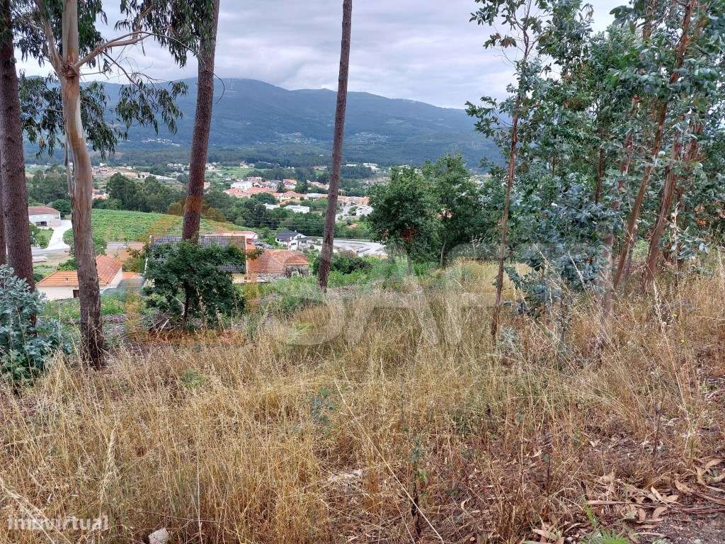 TERRENO CONSTRUTIVO - Grande imagem: 2/2