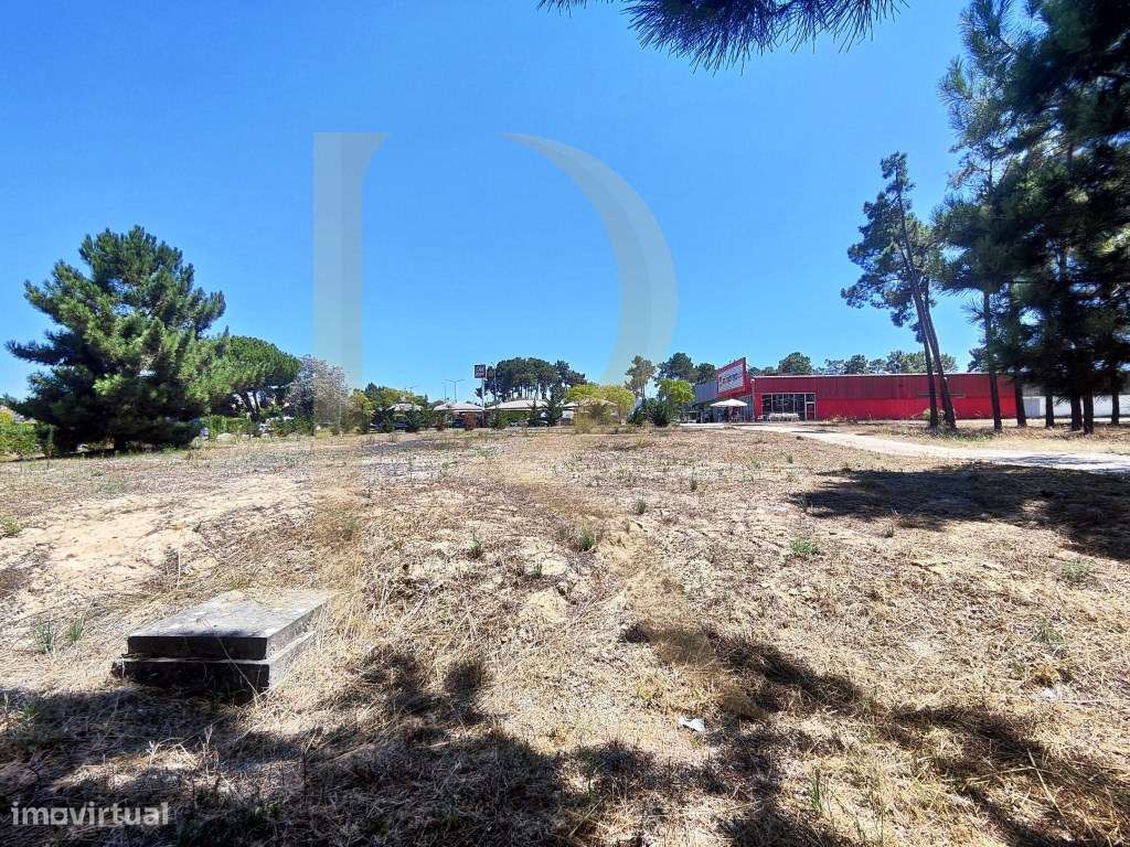 Venda conjunta de 105 lotes de terreno na Urbanização Pinhal de Neg...-14