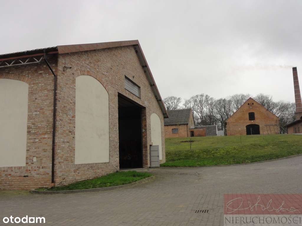 SOLIDNY MUROWANY MAGAZYN 1240 m Z KONTROLĄ DOSTĘPU - Pełny obrazek: 4/14