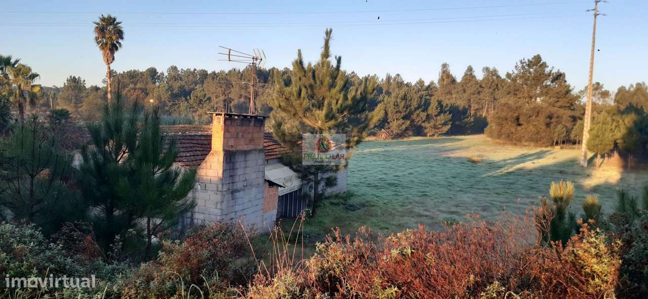 Terreno c viabilidade p construção Oliveira do Bairro - Grande imagem: 4/11