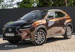 Lexus NX - 6