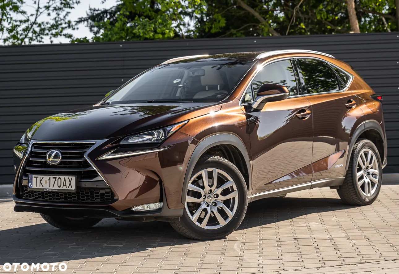 Lexus NX - 6