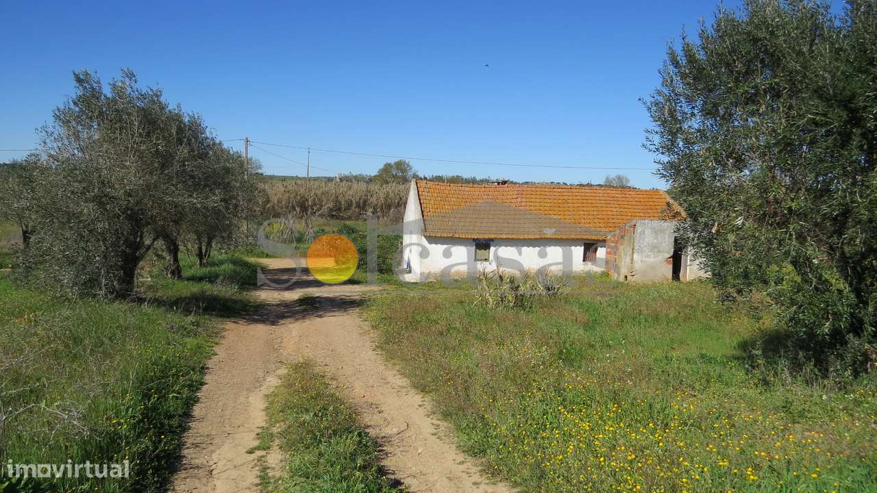 Quinta perto de Alcácer do Sal-8