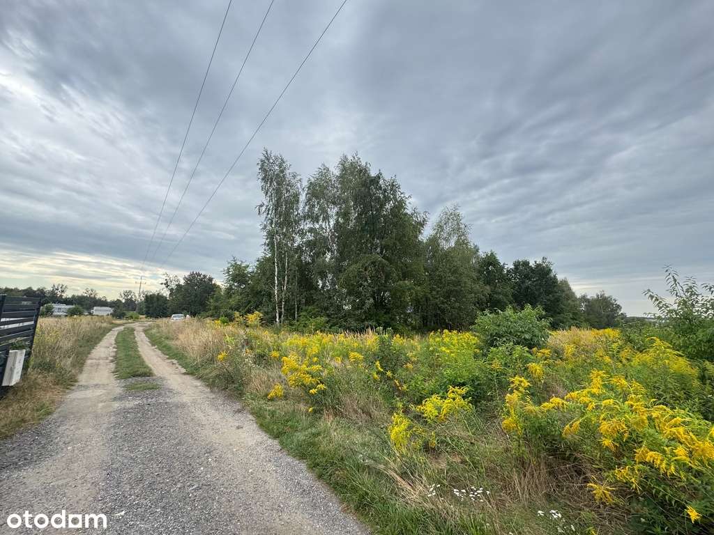 działka budowlana Rybnik Zamysłów