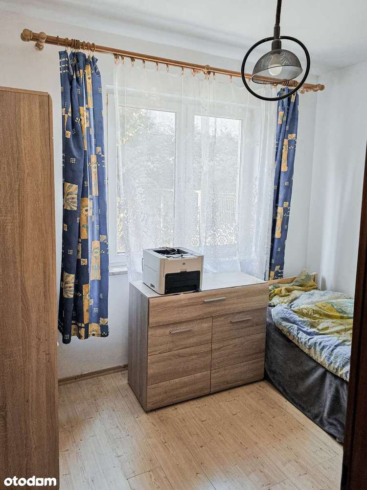 Dom Gaj | 4 działki (3xMNU)| duży potencjał pod zabudowę lub sprzedaż-7