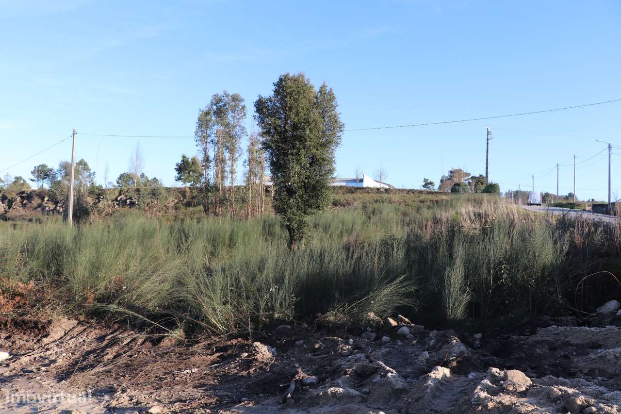 Terreno Para Construção  Venda em Lustosa e Barrosas (Santo Estêvão),L - Grande imagem: 5/6