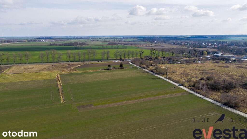 Działka usługowa/produkcyjna, 9092 m2, Bierutów - Pełny obrazek: 5/9