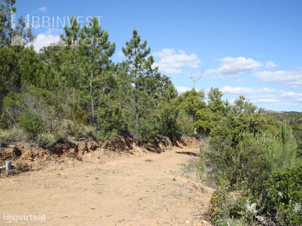 Terreno com Ruína em Salir, Algarve - Grande imagem: 4/16