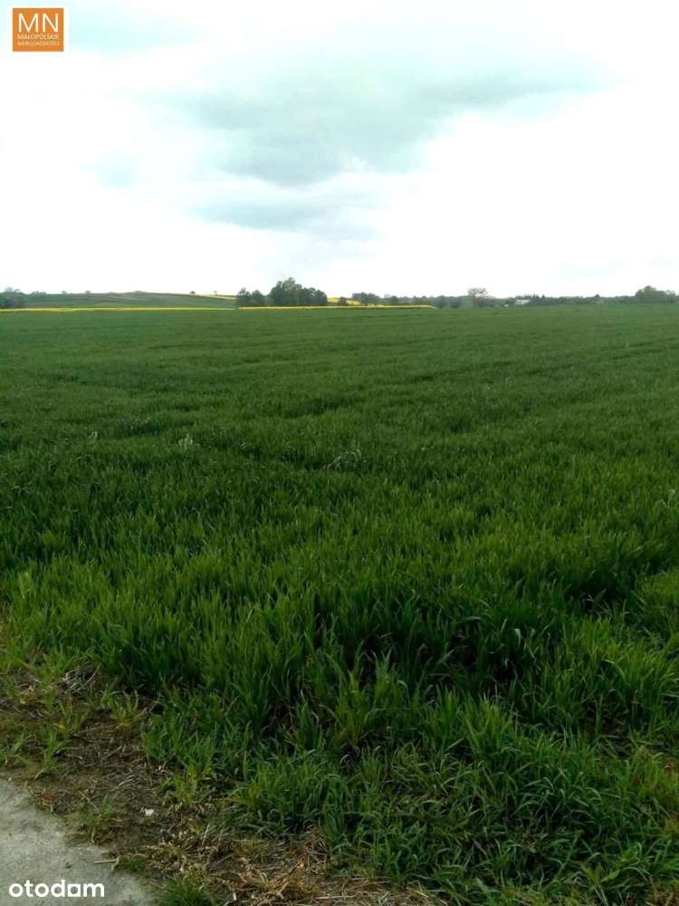 Działka pod dom,cisza i spokój,17a z Wz, Tanio - Pełny obrazek: 5/14