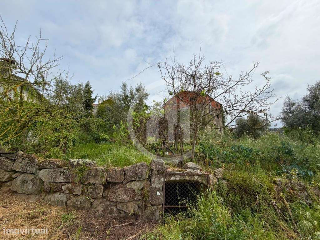 Terreno com construção - Vale da Loba, Beijós-5