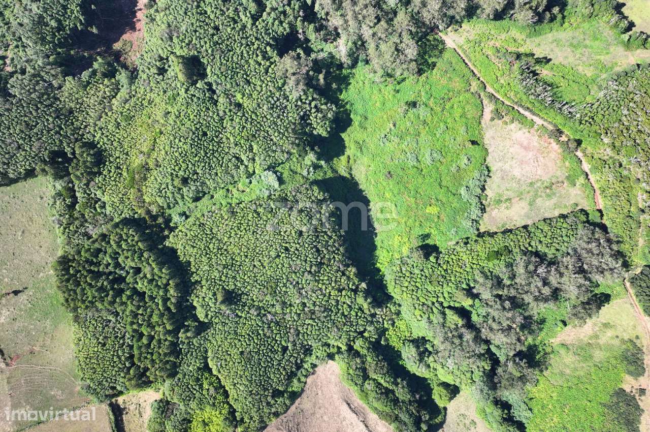 Terrenos Rústicos em Santo Espírito - Grande imagem: 4/4