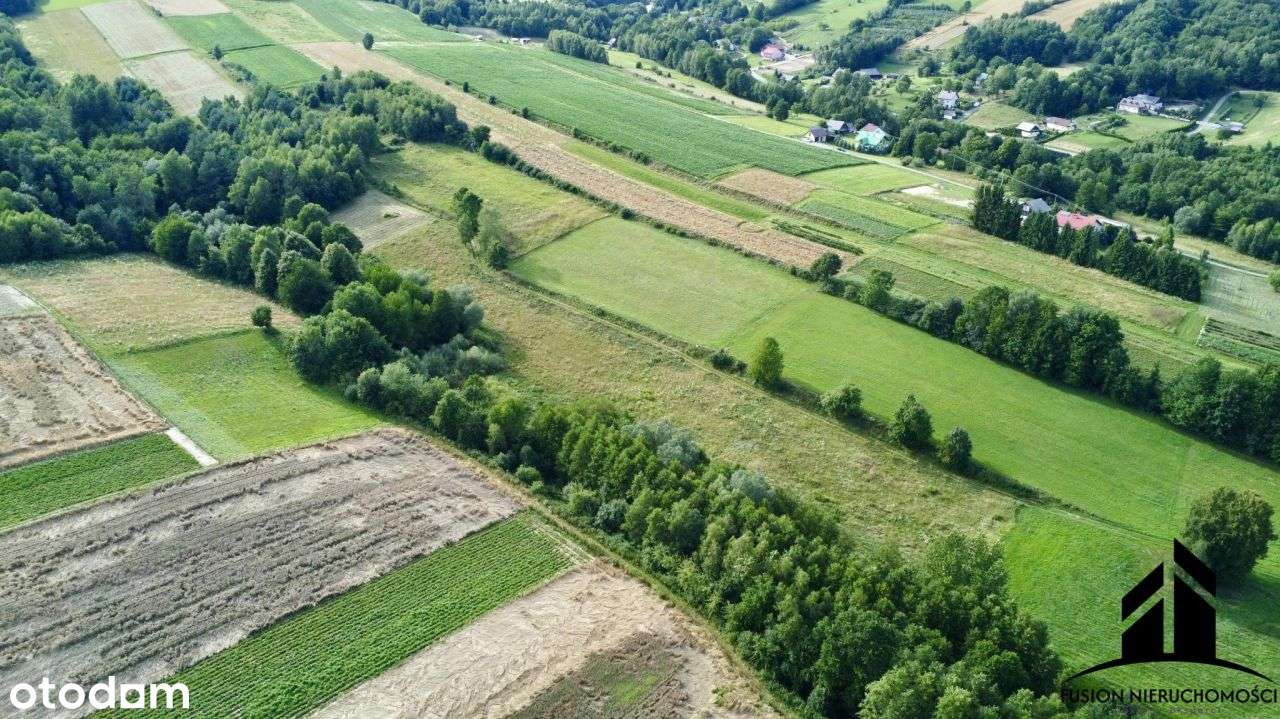 Urokliwa działka z potencjałem | 7842 m² | Łubno,-1
