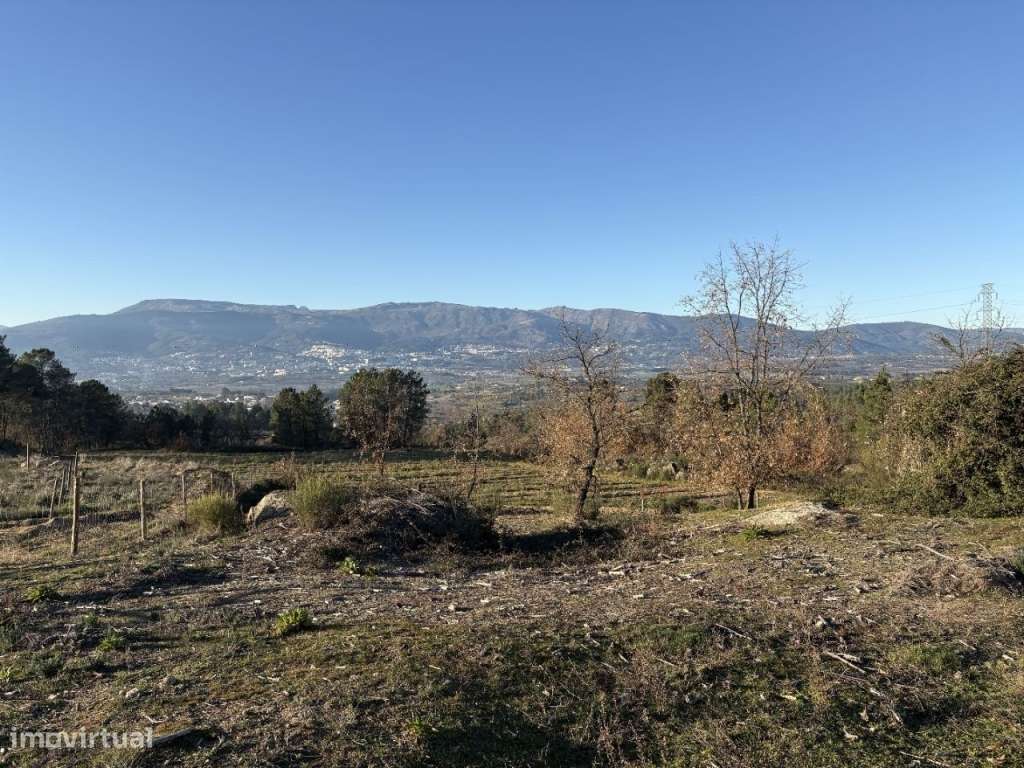 Quinta com casa em pedra para recuperar-5