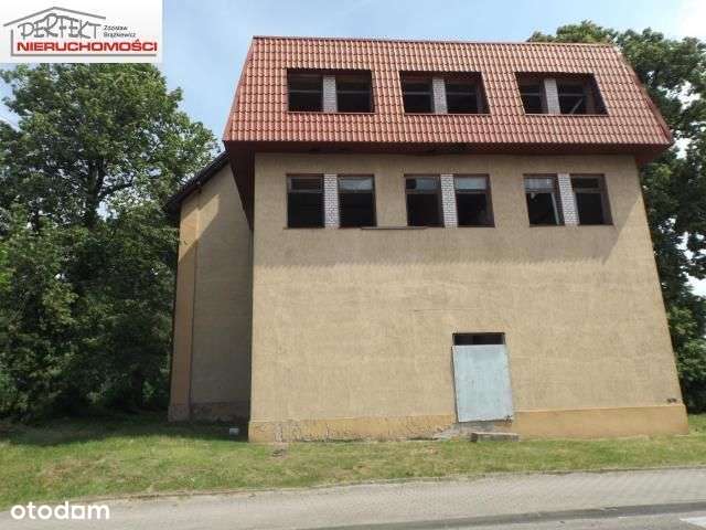 Lokal użytkowy, 750 m², Górzno - Pełny obrazek: 4/5