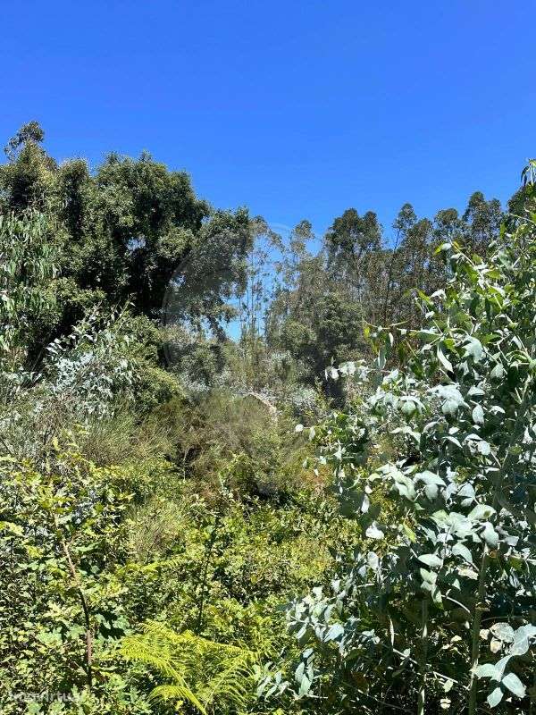 Terreno  para venda - Grande imagem: 5/15