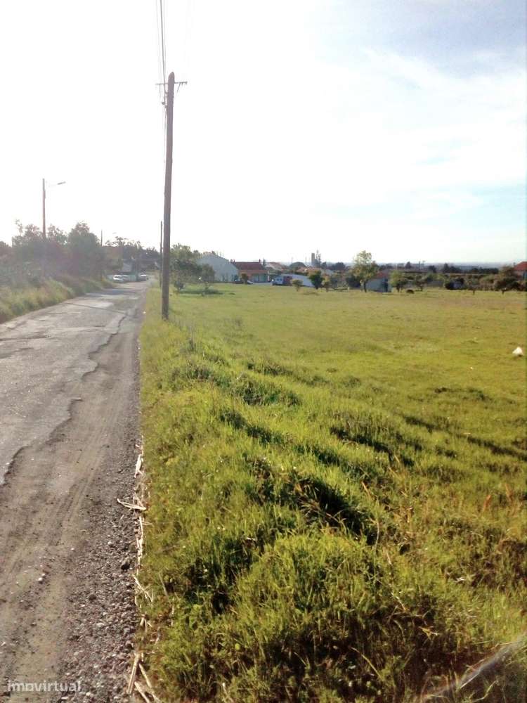 Palmela/ Cabanas Terreno com 1,5 Ha para construção de moradias. - Grande imagem: 3/8