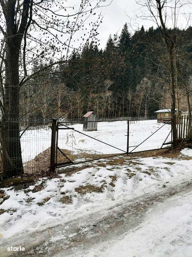 Neamt - Borca, teren 3386mp, langa padure-1