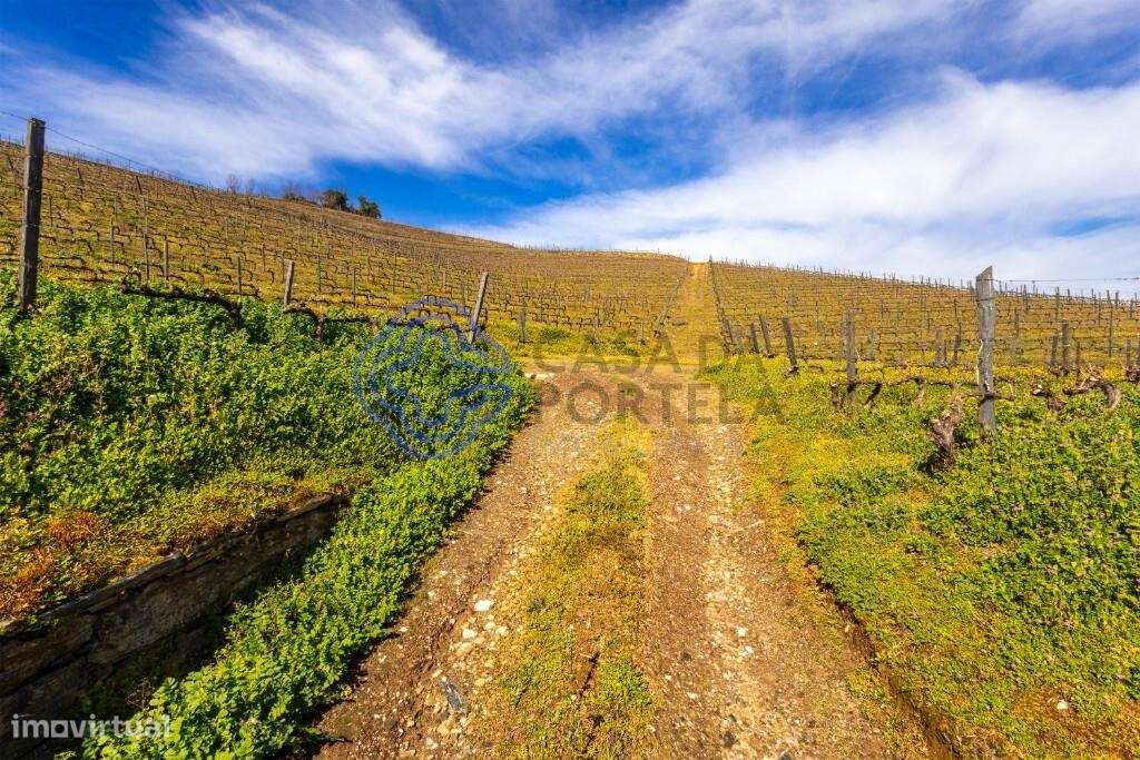 Quinta de Sequeiros em Sande, Lamego - Grande imagem: 2/23