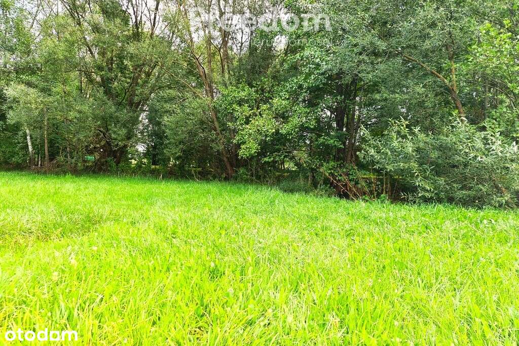 Działka budowlana na sprzedaż - Pełny obrazek: 4/8