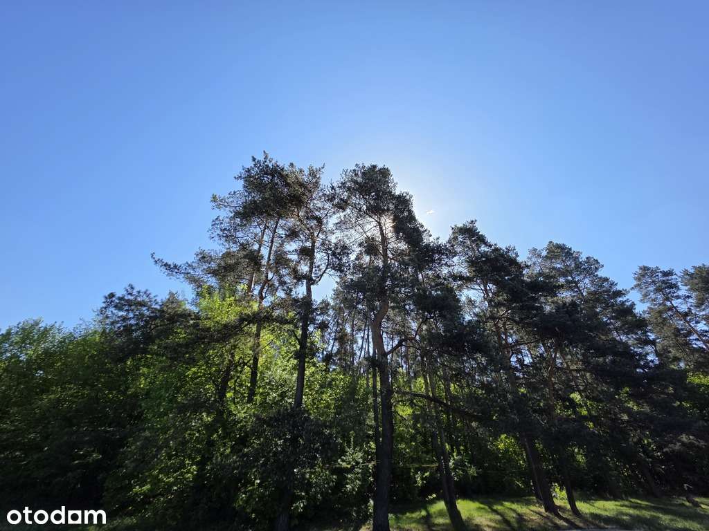 Ładne mieszkanie M3 blisko lasu-10