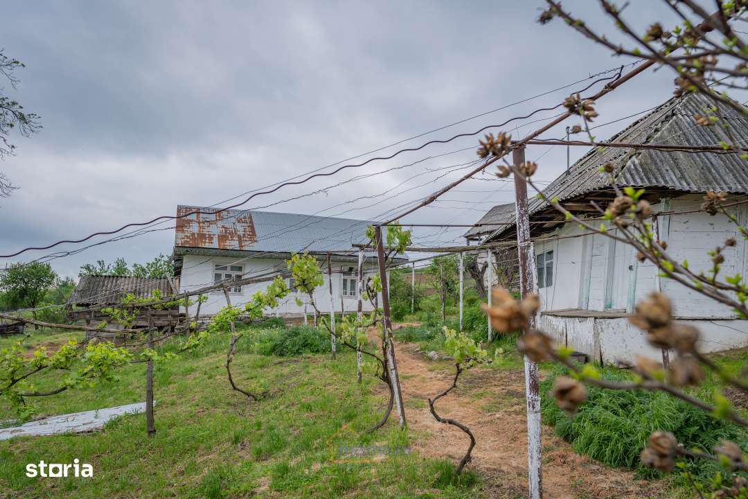 Casa din chirpici, bucatarie de vara si 1.34 ha de teren, Ardeoani-3