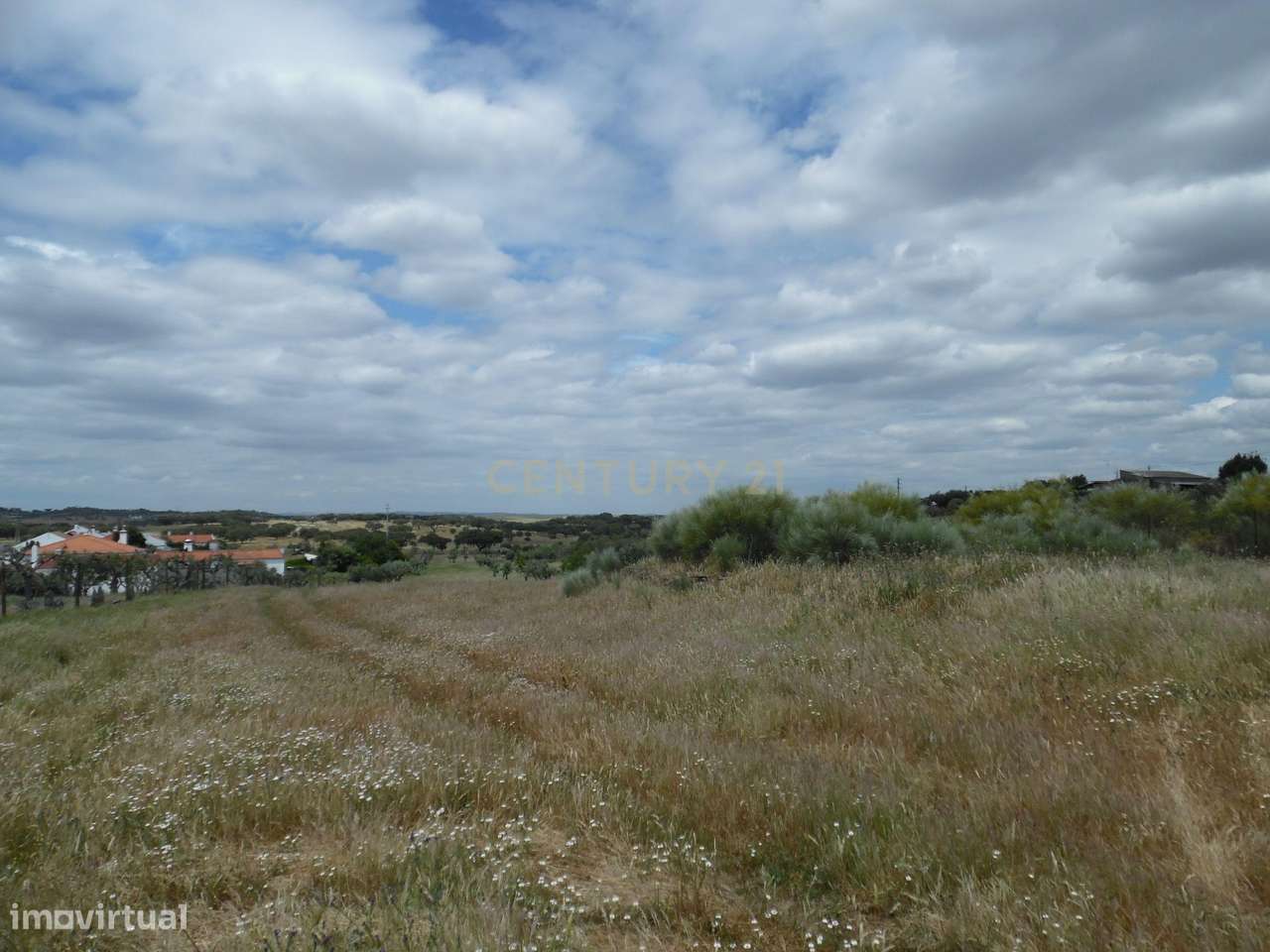 Quinta em Capelins,  Alandroal - Évora,  Oportunidade Única-15