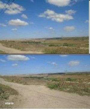 Teren extravilan cota 3/32 Smardan, ID: R2763204 - Imagine principală: 5/10