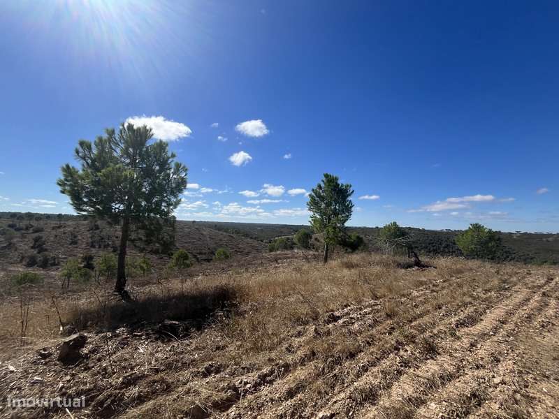 Terreno com 48ha de Natureza com Ruína de 53 m² – Ideal Projeto Rural-9