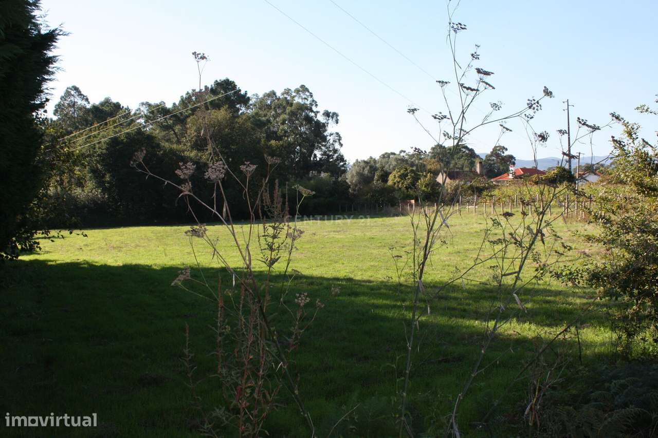 Terreno para construção em Campos – Vila Meã, Vila Nova de Cerveira - Grande imagem: 4/7