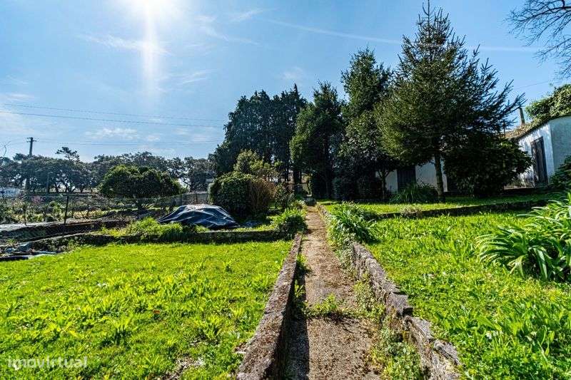 Moradia T3 em pedra- Touguinho - Grande imagem: 5/8