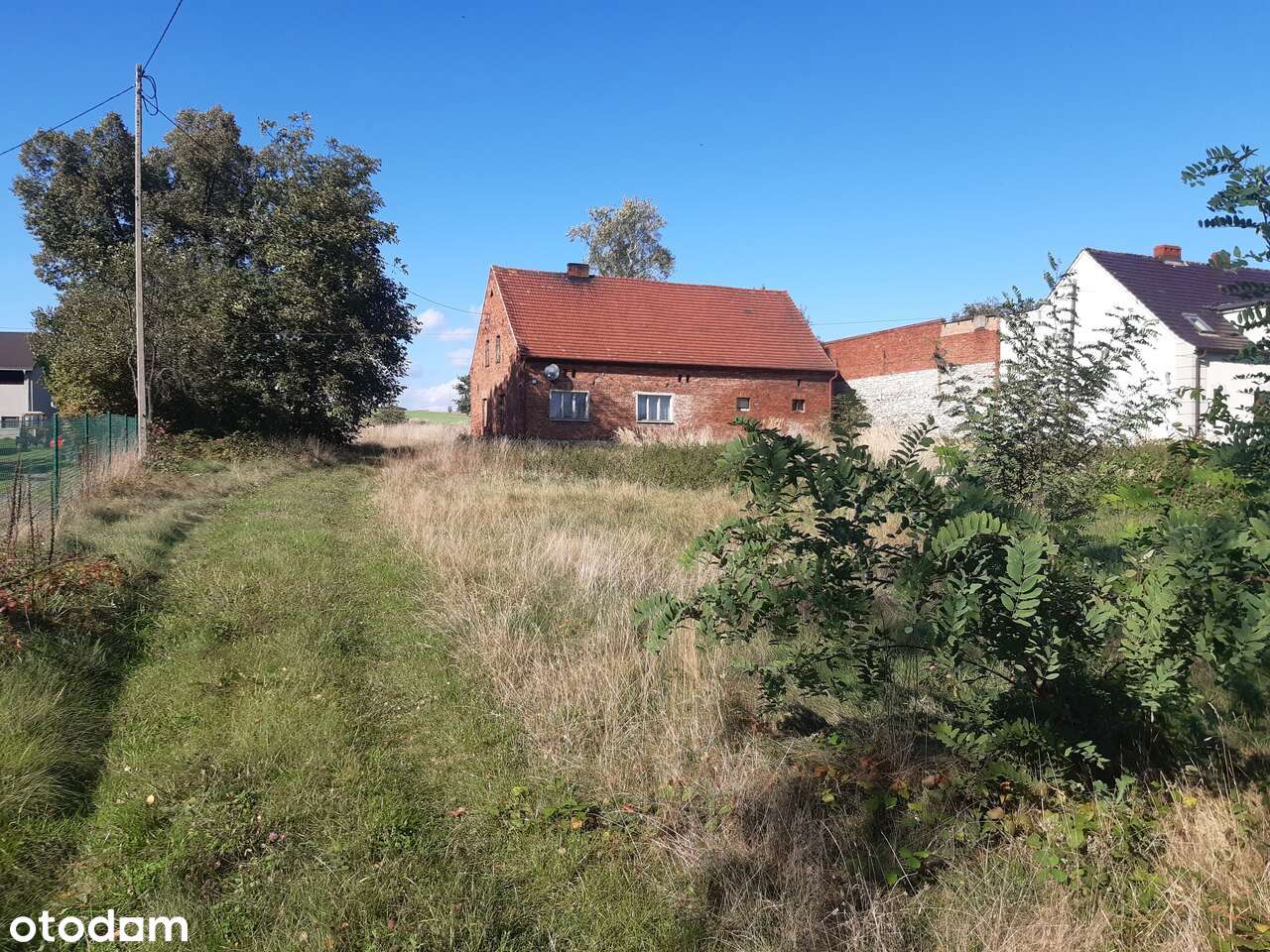 Dom do remontu z dużą działką rolno-budowlaną - Pełny obrazek: 5/20