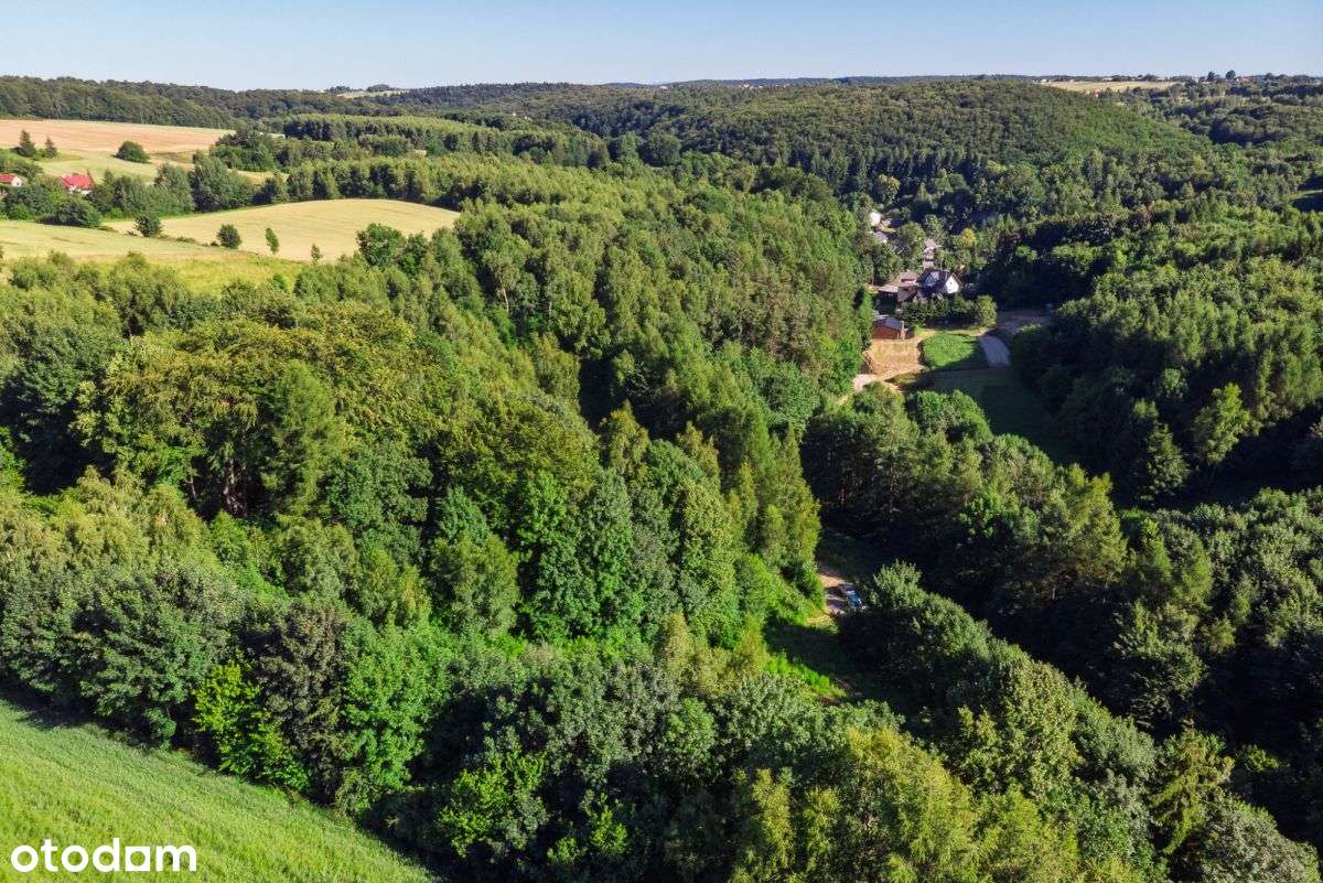 Malownicza duża działka z PnB-15