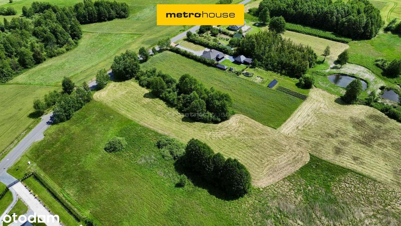 Malownicza duża działa- 55a- Cyców - Pełny obrazek: 1/7