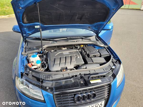 Audi A3 2.0 TDI DPF Ambition - 15