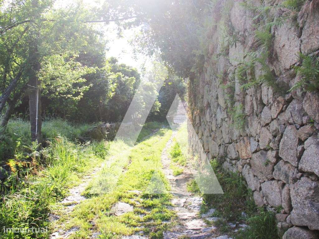 Quinta T6 histórica para recuperação, Guimarães.-23