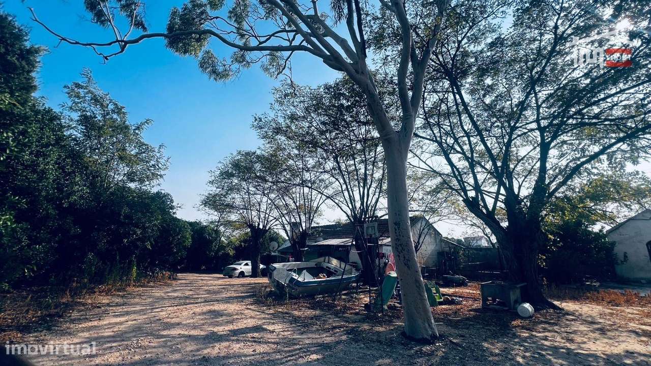 Terreno de 11,5 Hectares em Alcochete com 2 Moradias, Anexos || Vis... - Grande imagem: 5/33