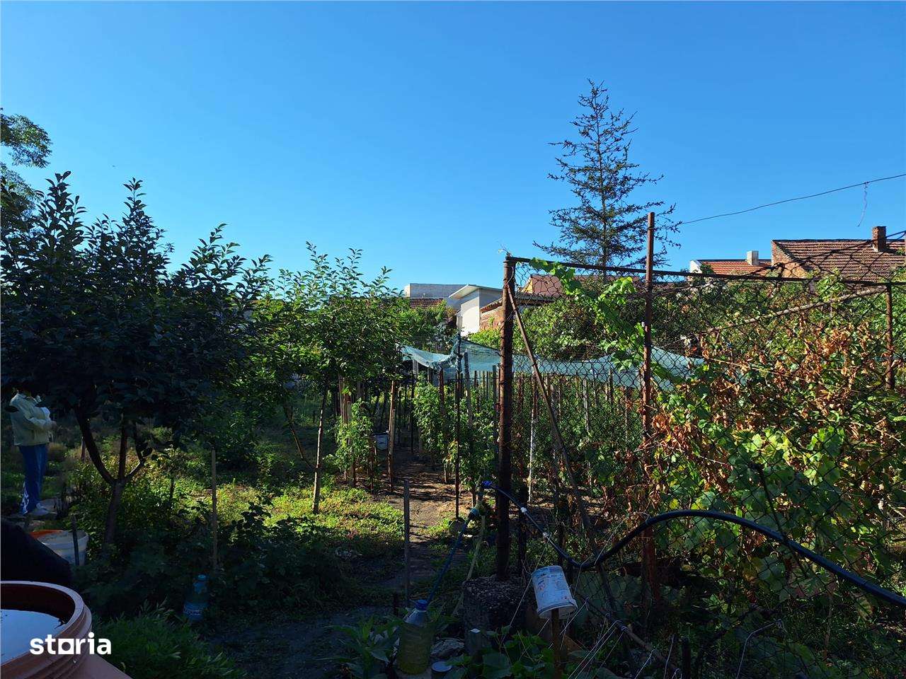 Reco, Casa demolabila, Oradea - Imagine principală: 5/5