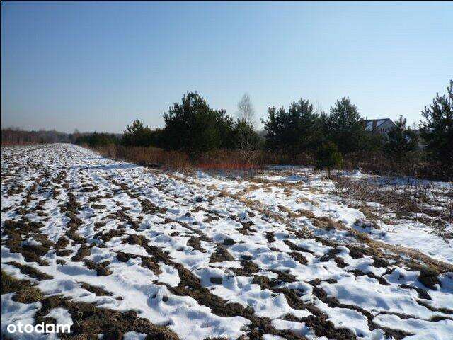 Działka, 18700.0 m², Żabieniec - Pełny obrazek: 3/5