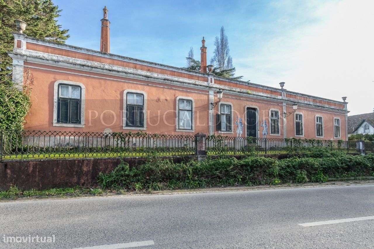 Quinta 5Ha em Azeitão-8