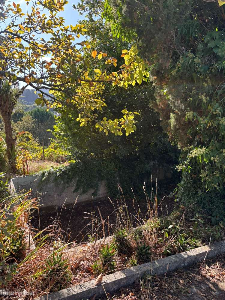 Imóvel de banco : apresente-nos a sua e-51