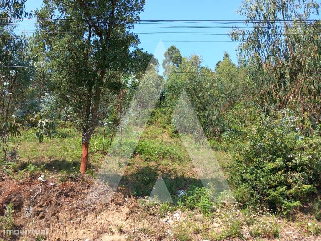 Terreno em Argoncilhe - Santa Maria da Feira - Grande imagem: 3/12