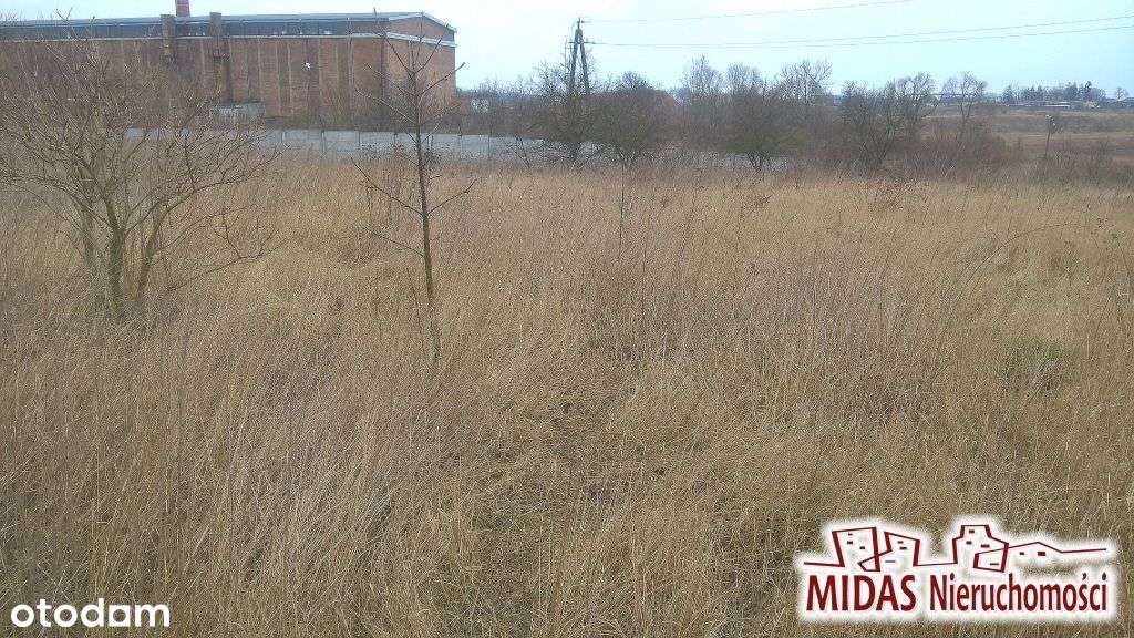 Dzialka 6417m2 w Brześciu Kuj. - Pełny obrazek: 5/10