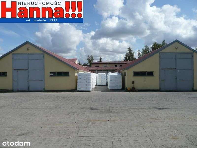 Pruszcz Gdański/Juszkowo - magazyn ok. 400m2.